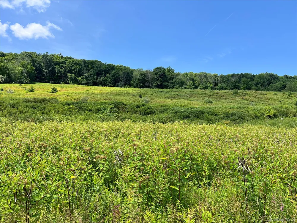 Lot #4 Mountain Road Port Jervis, NY 12771