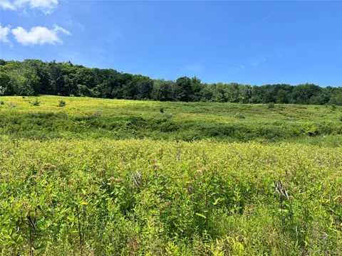Lot #4 Mountain Road