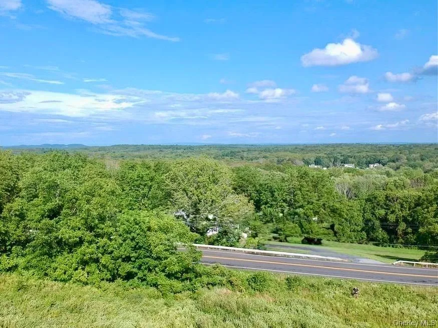Lot #4 Mountain Road Port Jervis, NY 12771
