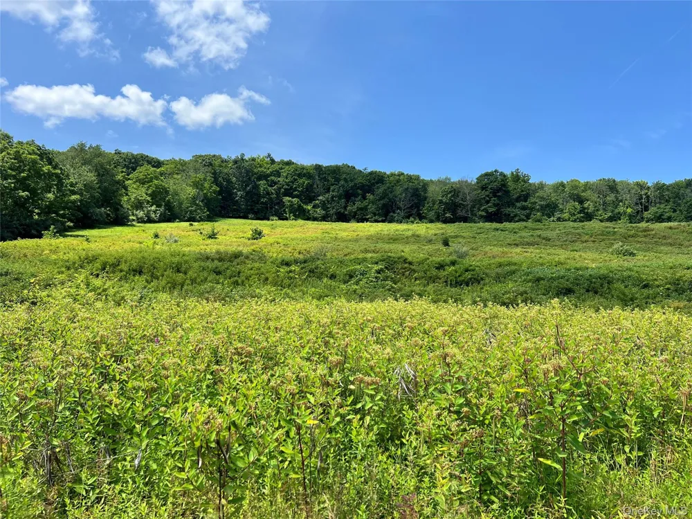 Lot #4 Mountain Road Port Jervis, NY 12771