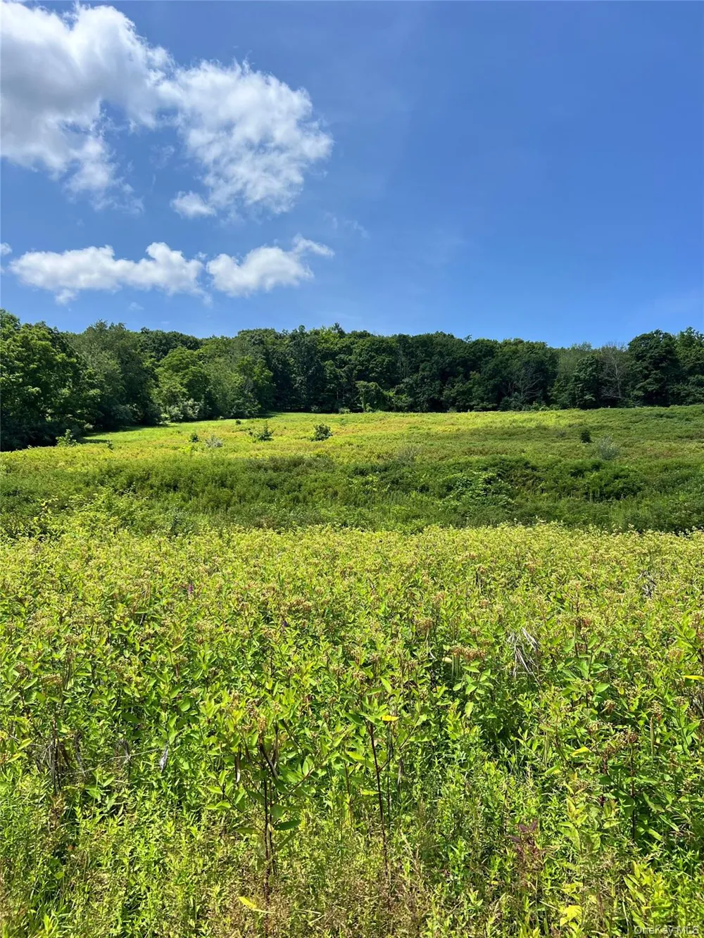 Lot #4 Mountain Road Port Jervis, NY 12771