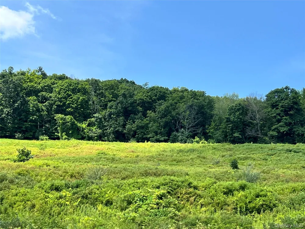 Lot #4 Mountain Road Port Jervis, NY 12771