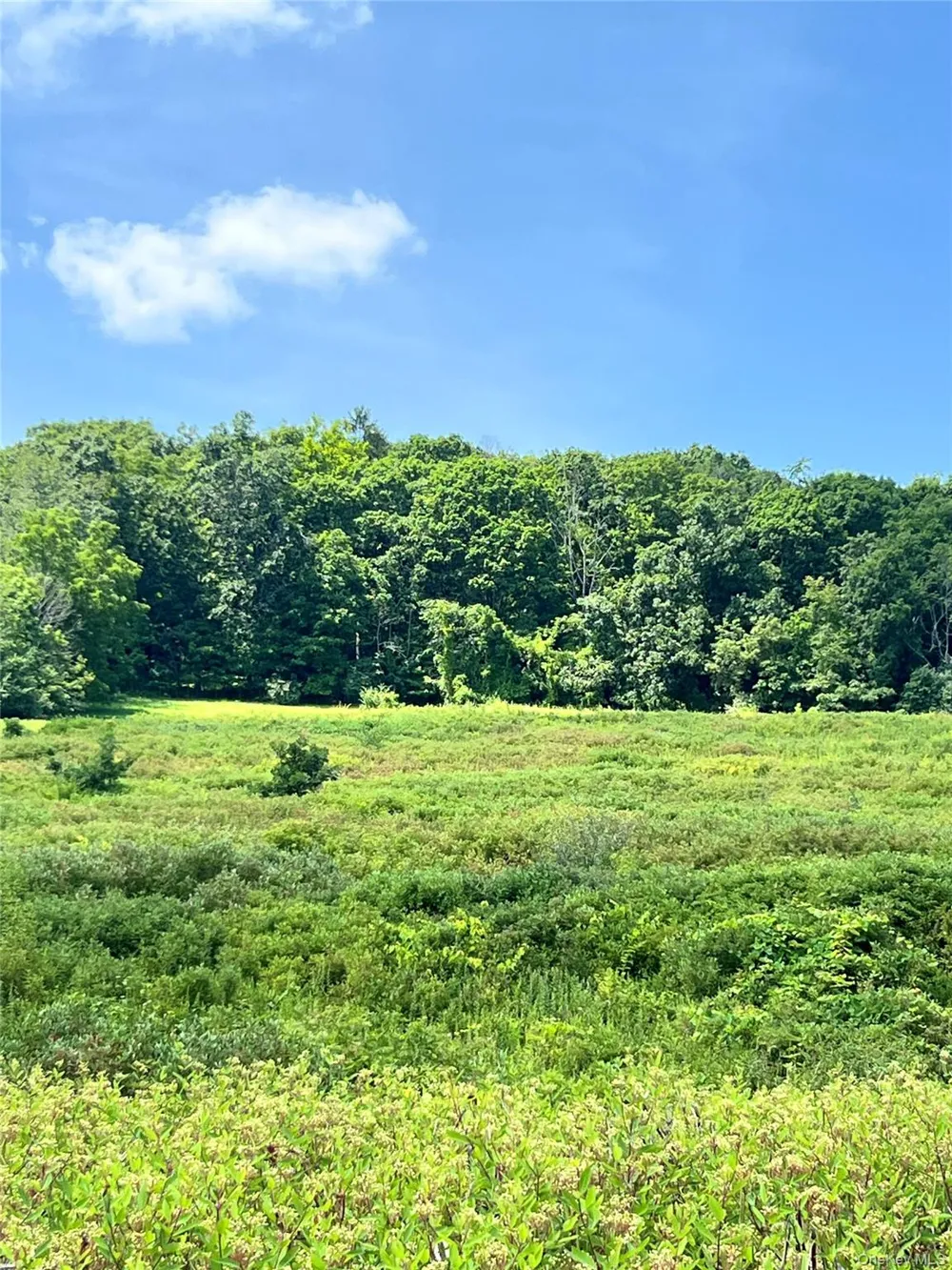 Lot #4 Mountain Road Port Jervis, NY 12771