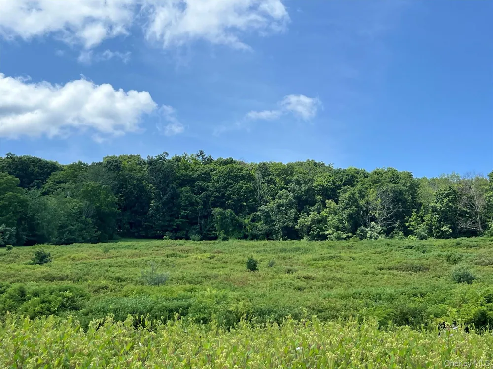 Lot #4 Mountain Road Port Jervis, NY 12771