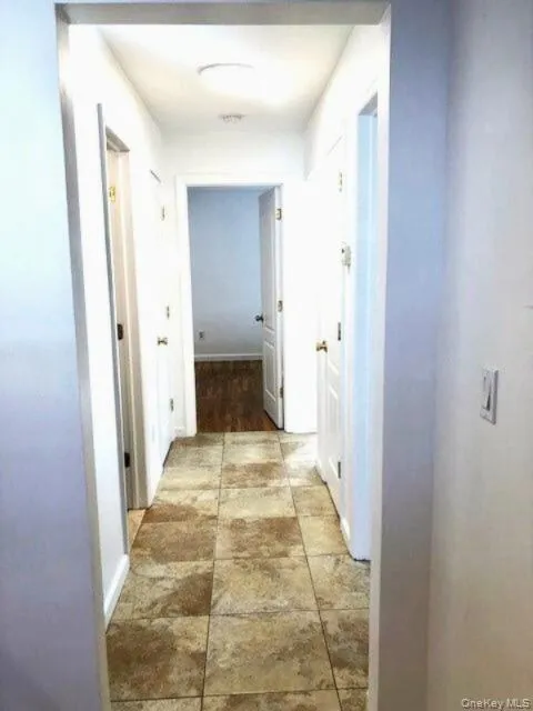 20 Carle Road #1 Westbury, NY 11590