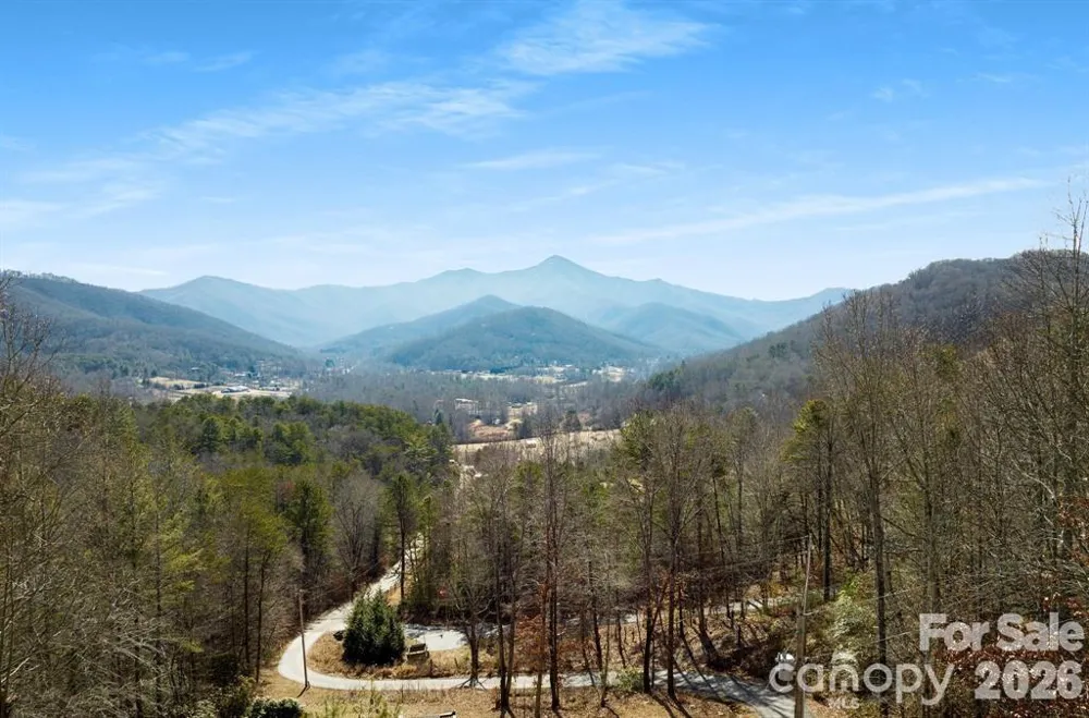 56 Great Horned Owl Road Candler, NC 28715