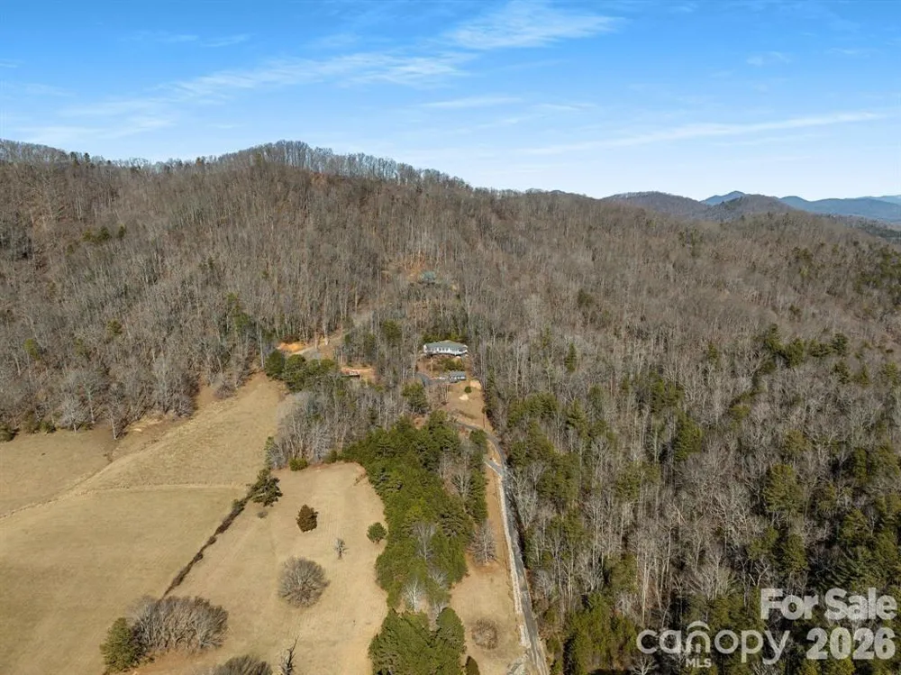 56 Great Horned Owl Road Candler, NC 28715