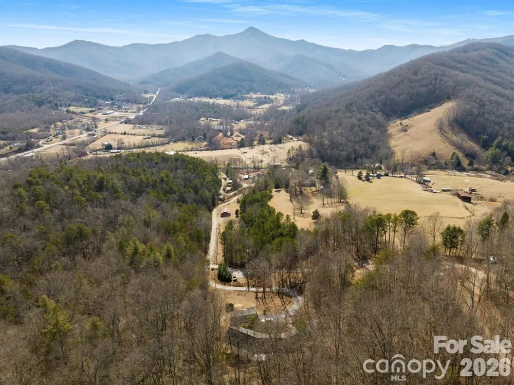 56 Great Horned Owl Road Candler, NC 28715
