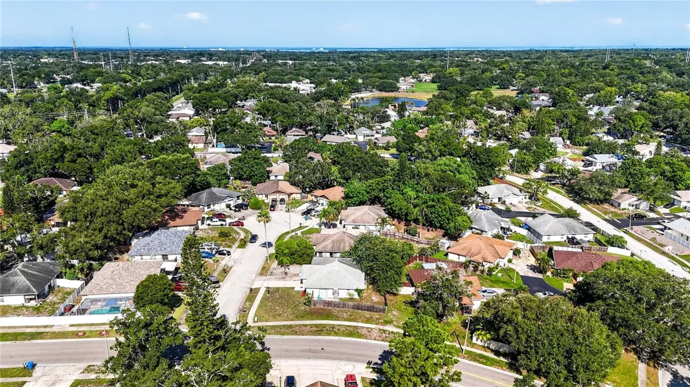 2699 MACKLIN COURT Palm Harbor, FL 34684