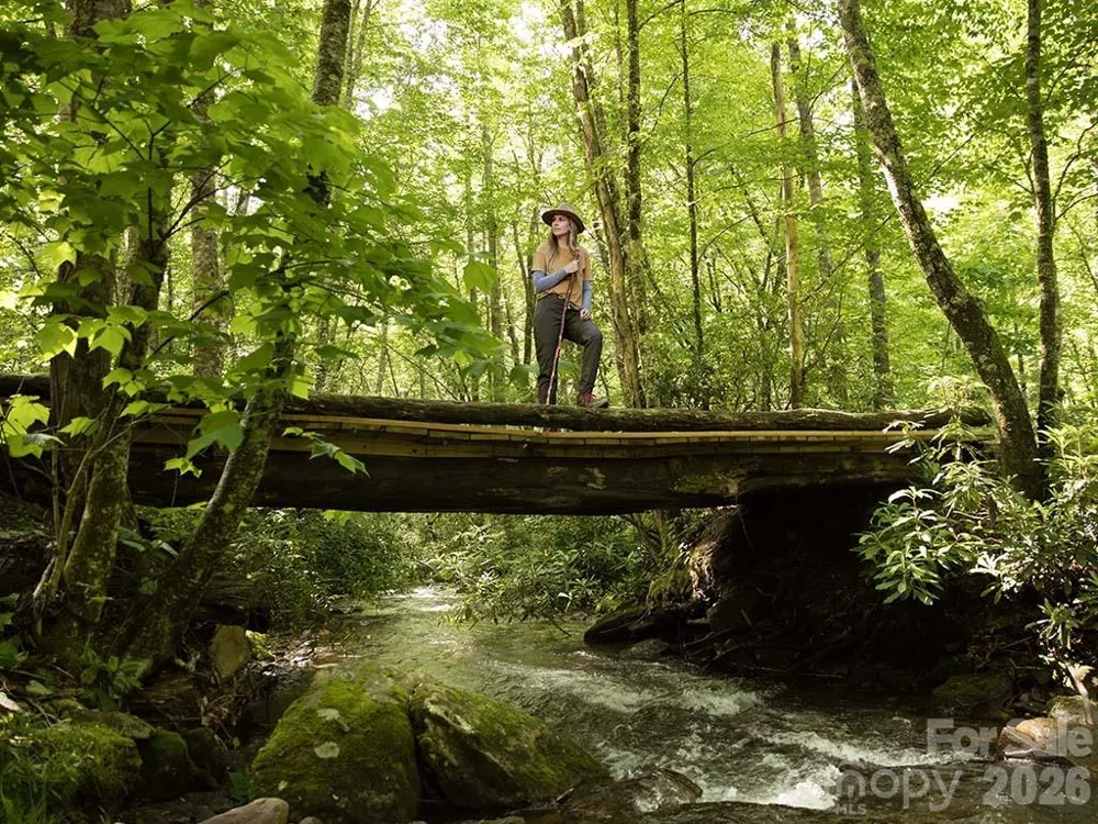 6880 Cabin Flats Road #350B Sylva, NC 28779