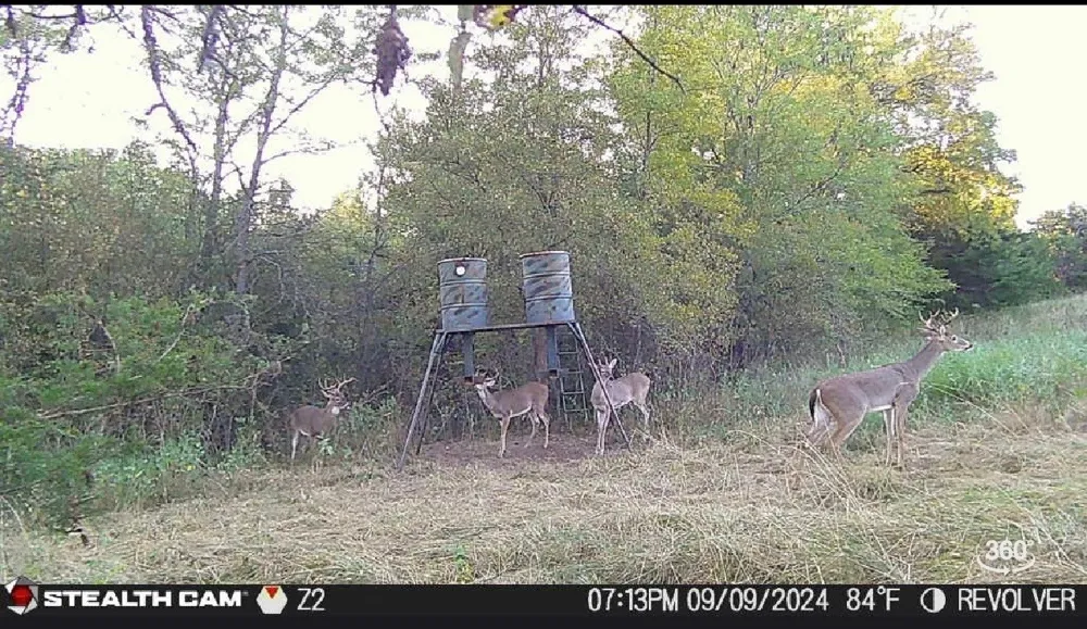 3636 State Highway 56 Bells, TX 75414