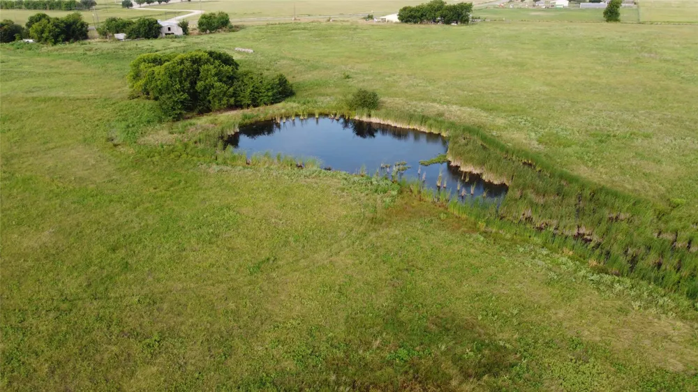 FM 512 Commerce, TX 75428