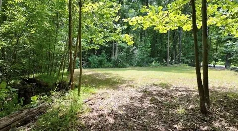 6260 White Mill Road