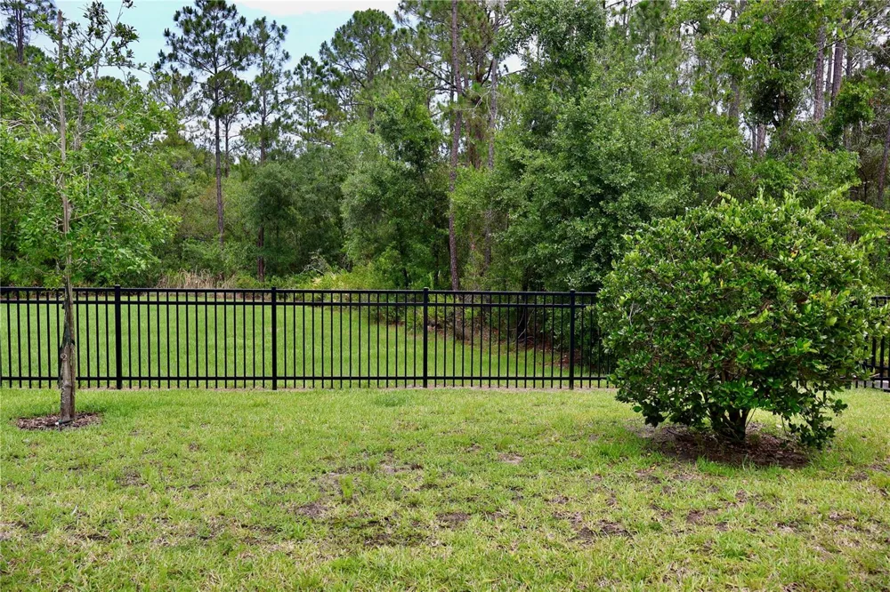 3635 DAVENPORT CREEK COURT Kissimmee, FL 34746