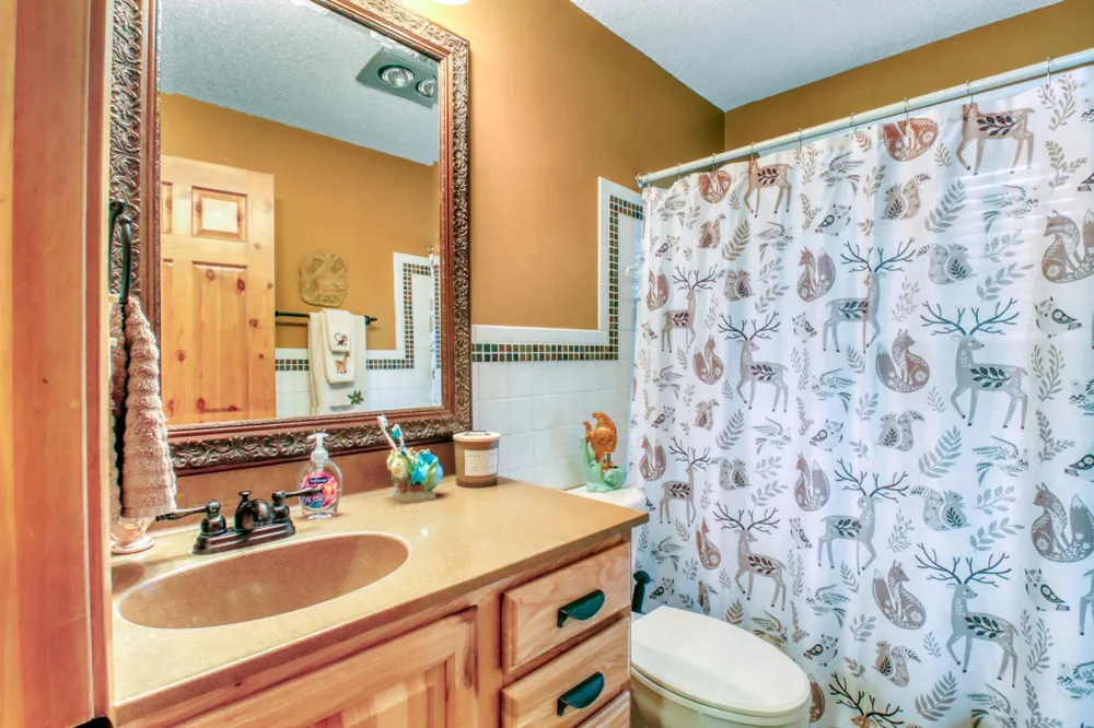 672 S Shore Drive Detroit Lakes, MN 56501