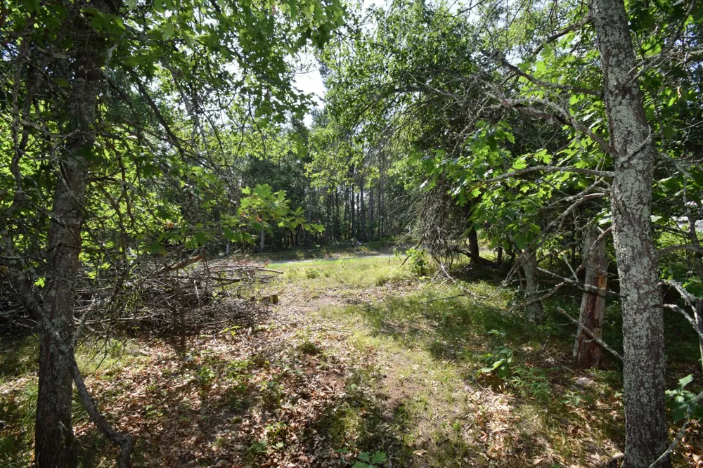 31075 Bass Lake Road Danbury, WI 54830