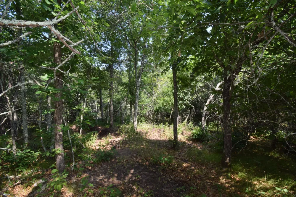 31075 Bass Lake Road Danbury, WI 54830