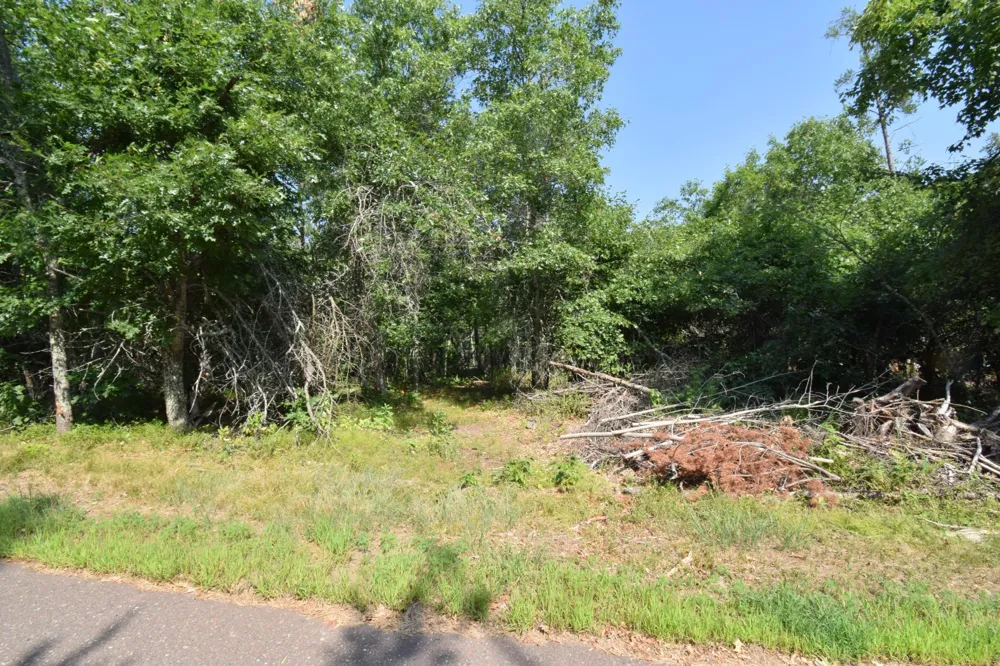 31075 Bass Lake Road Danbury, WI 54830