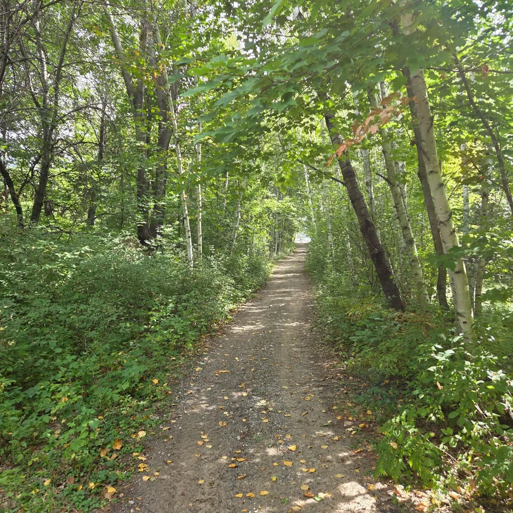 27166 Bayshore Circle NW Isanti, MN 55040