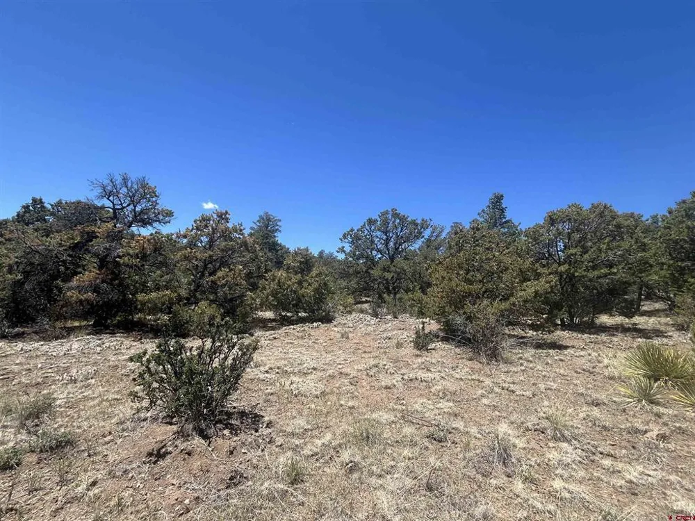 503 Kenosha Road South Fork, CO 81154