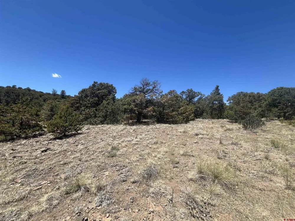 503 Kenosha Road South Fork, CO 81154