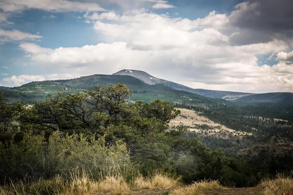 503 Kenosha Road South Fork, CO 81154