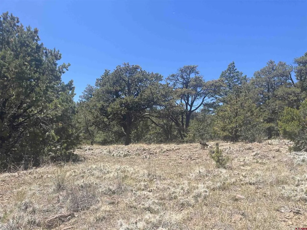 503 Kenosha Road South Fork, CO 81154
