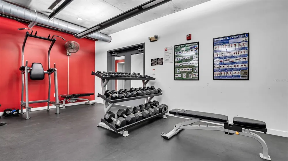 101 12TH STREET #302 Tampa, FL 33602