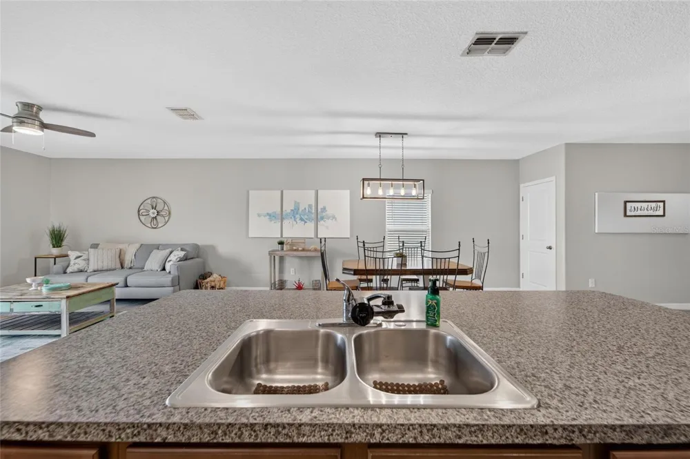 5119 WHITE CHICORY DRIVE Apollo Beach, FL 33572