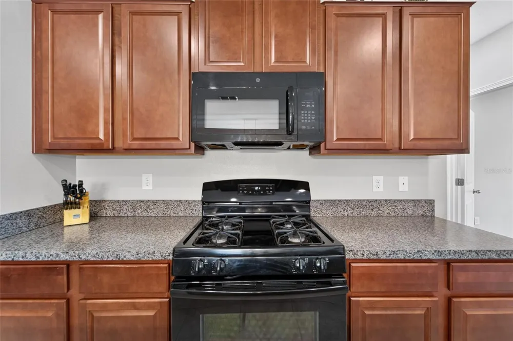 5119 WHITE CHICORY DRIVE Apollo Beach, FL 33572