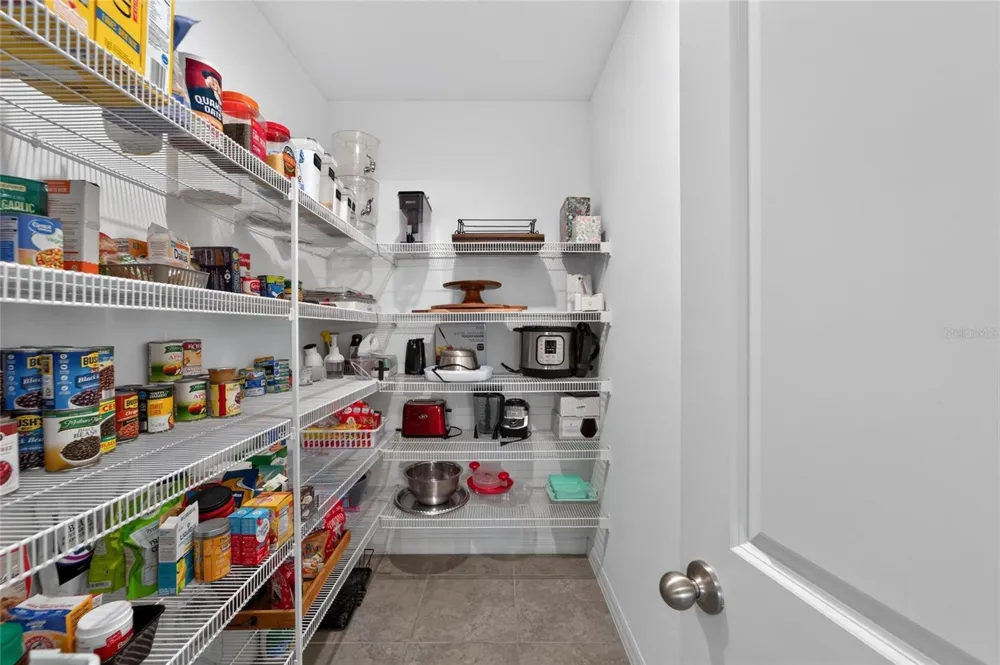 5119 WHITE CHICORY DRIVE Apollo Beach, FL 33572