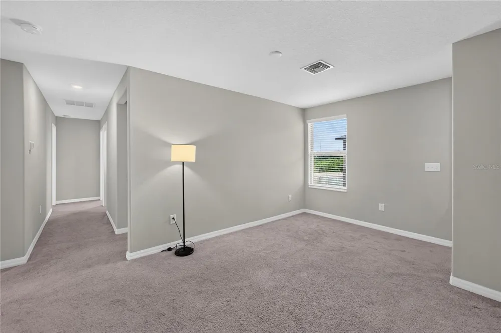 5119 WHITE CHICORY DRIVE Apollo Beach, FL 33572