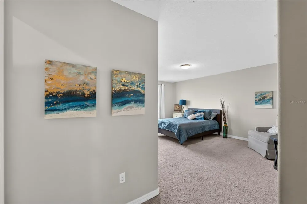 5119 WHITE CHICORY DRIVE Apollo Beach, FL 33572