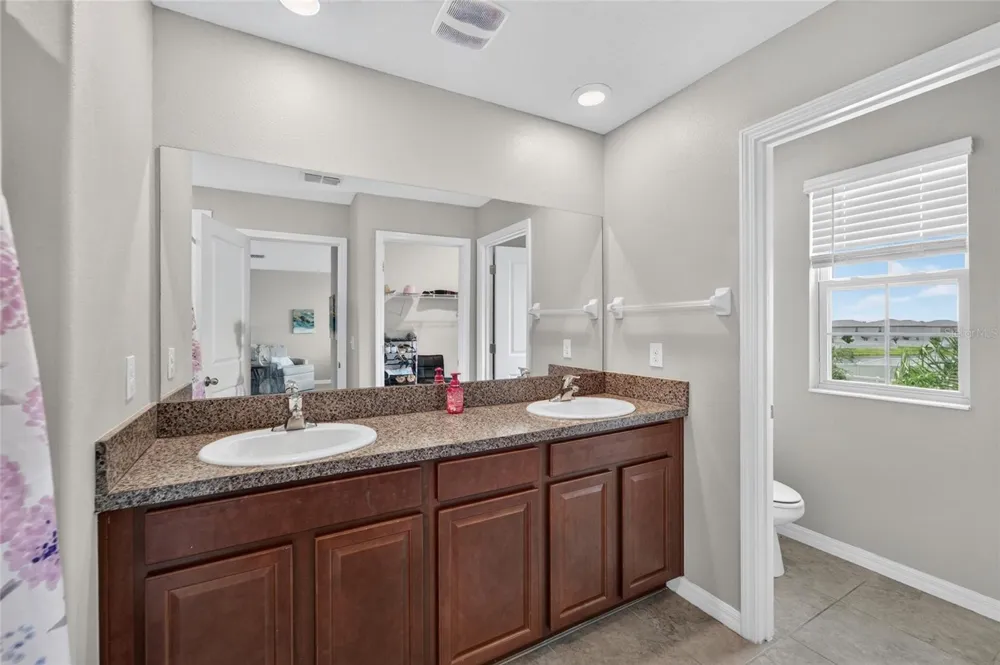 5119 WHITE CHICORY DRIVE Apollo Beach, FL 33572