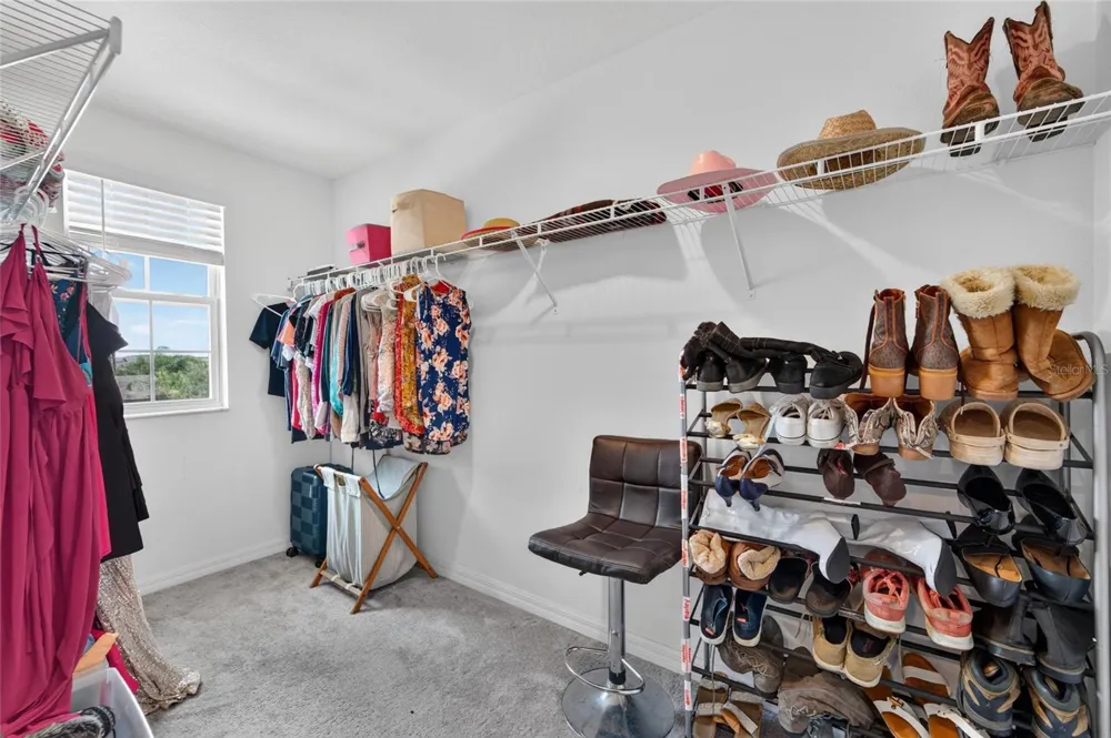 5119 WHITE CHICORY DRIVE Apollo Beach, FL 33572
