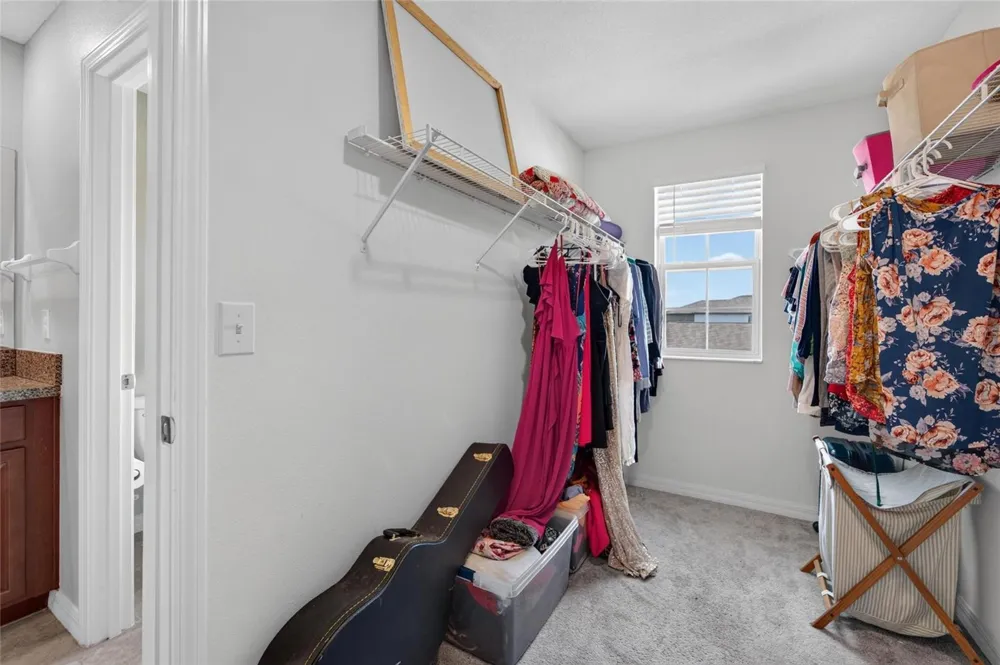 5119 WHITE CHICORY DRIVE Apollo Beach, FL 33572