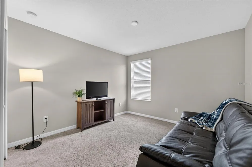 5119 WHITE CHICORY DRIVE Apollo Beach, FL 33572