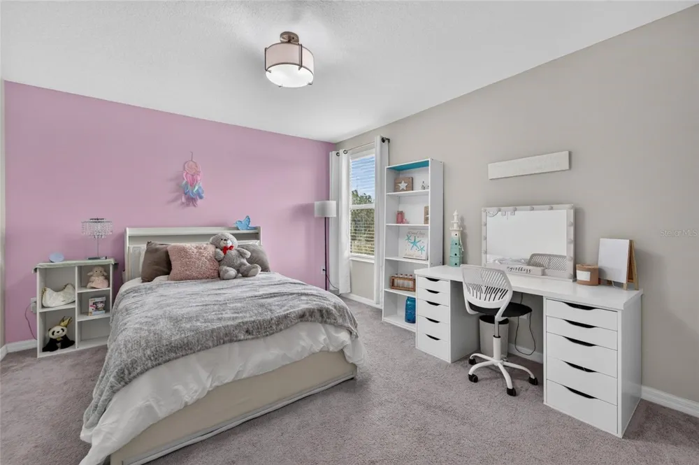 5119 WHITE CHICORY DRIVE Apollo Beach, FL 33572