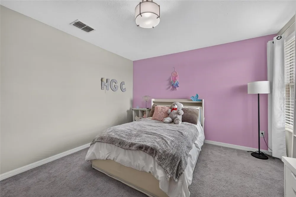 5119 WHITE CHICORY DRIVE Apollo Beach, FL 33572