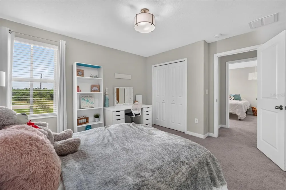 5119 WHITE CHICORY DRIVE Apollo Beach, FL 33572