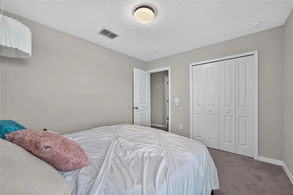 5119 WHITE CHICORY DRIVE Apollo Beach, FL 33572