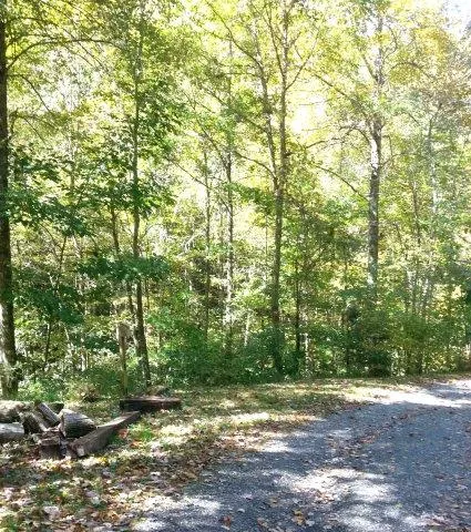 Dicks Creek Rd
