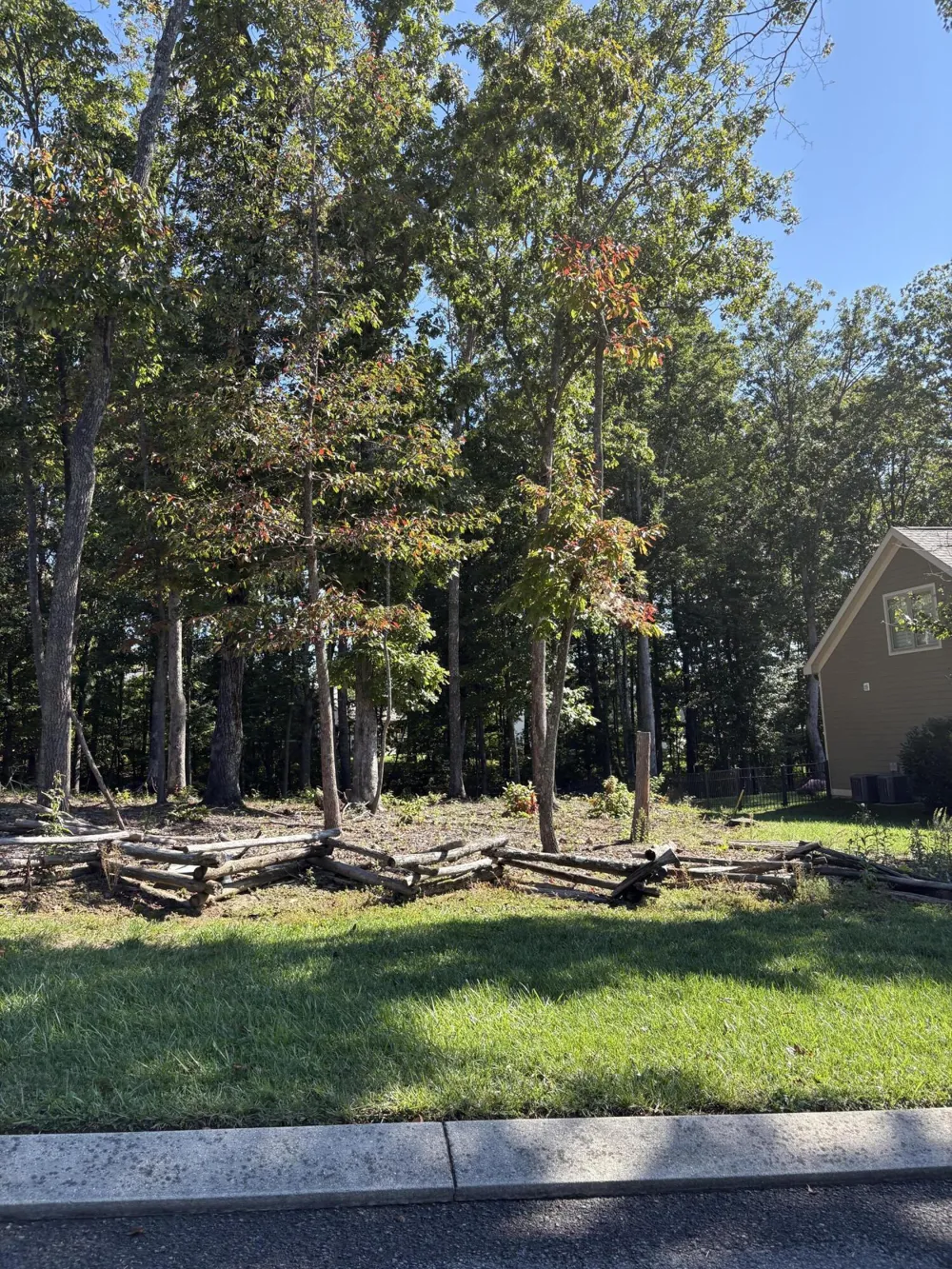 3572 Sweetshrub Way Signal Mountain, TN 37377