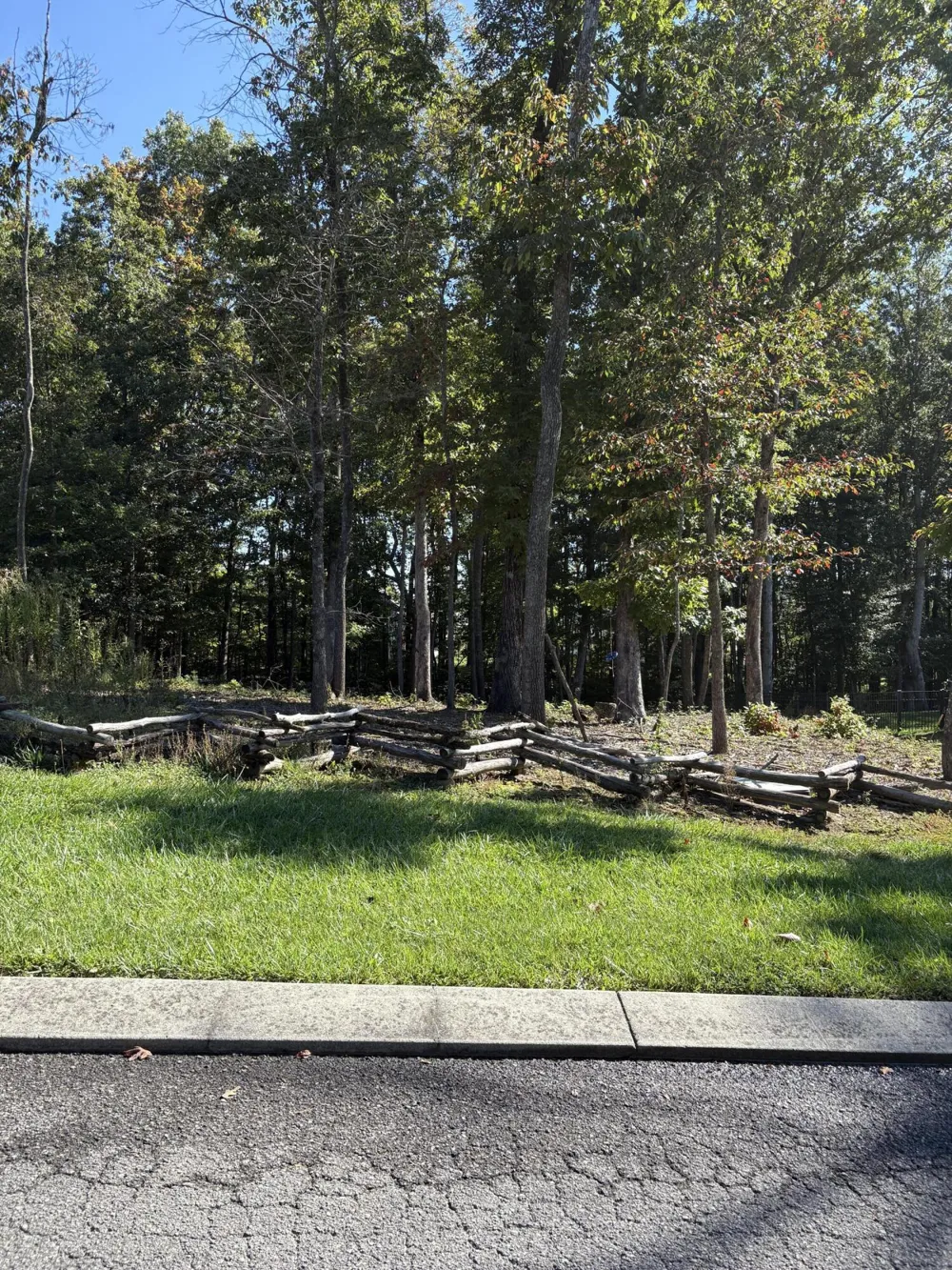 3572 Sweetshrub Way Signal Mountain, TN 37377