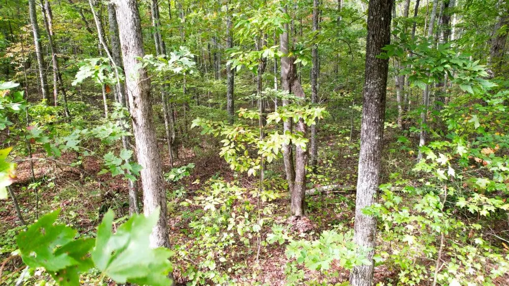 416 Stewart Lane Rising Fawn, GA 30738