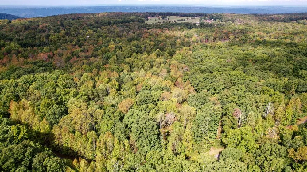 416 Stewart Lane Rising Fawn, GA 30738