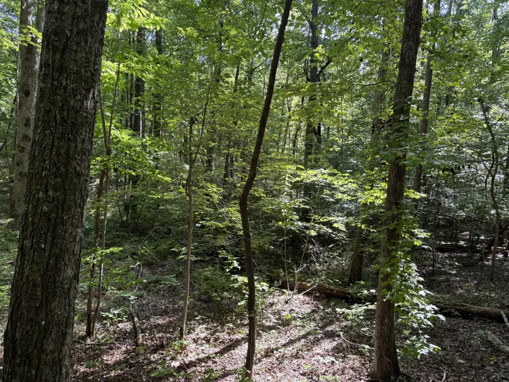 416 Stewart Lane Rising Fawn, GA 30738