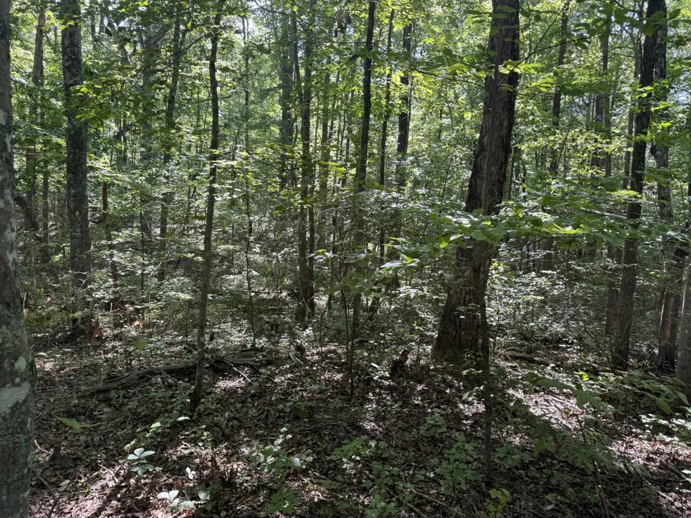 416 Stewart Lane Rising Fawn, GA 30738