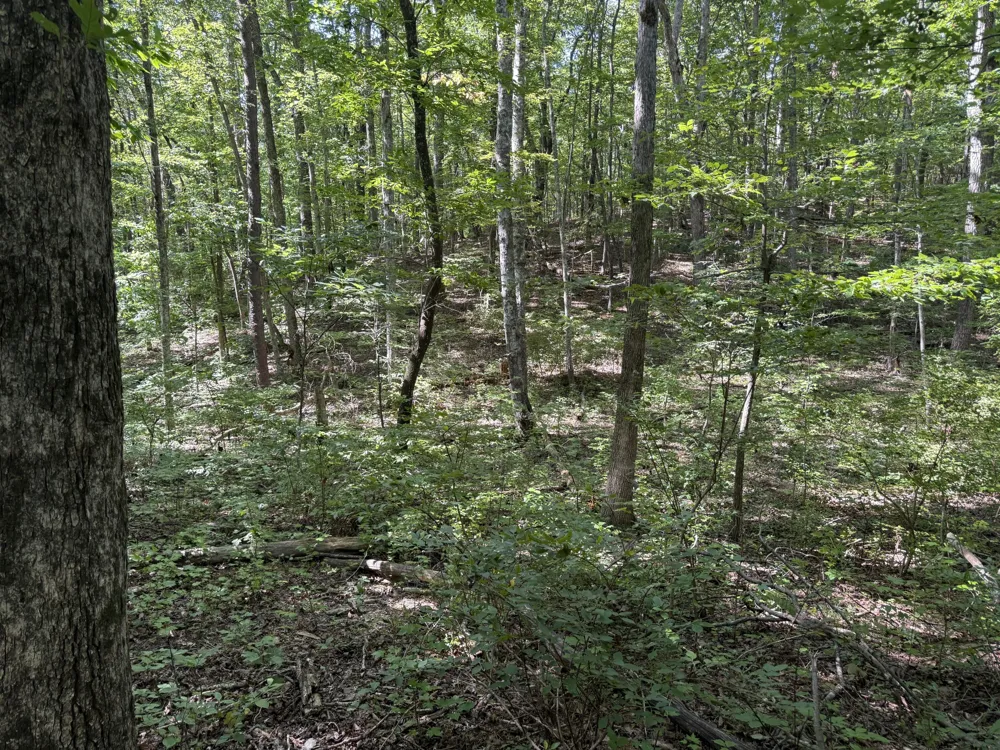 416 Stewart Lane Rising Fawn, GA 30738