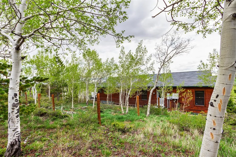 651 Lamb Mountain Road Fairplay, CO 80440